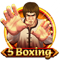  5 Boxing